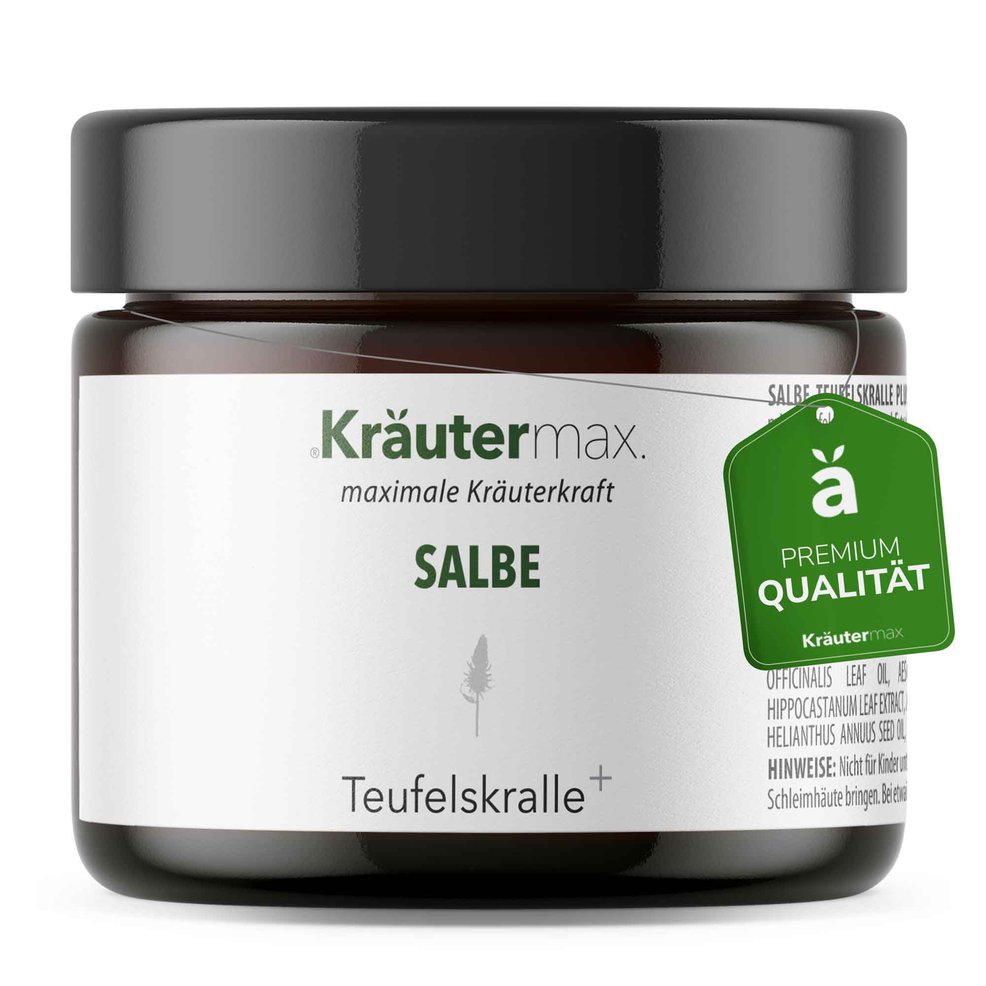Teufelskralle Salbe 1 x 100 ml