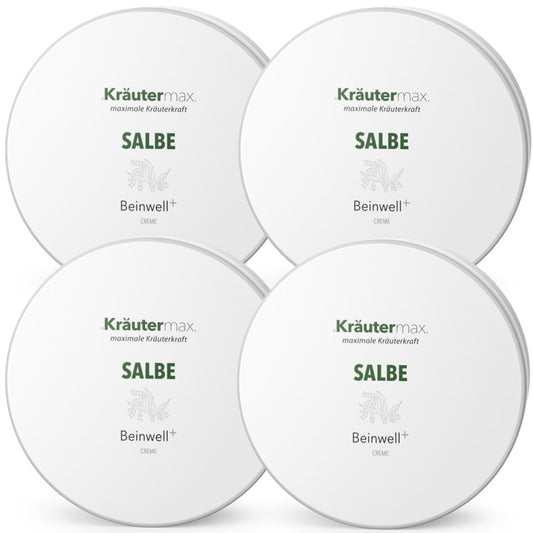 Beinwell Salbe 4 x 100 ml