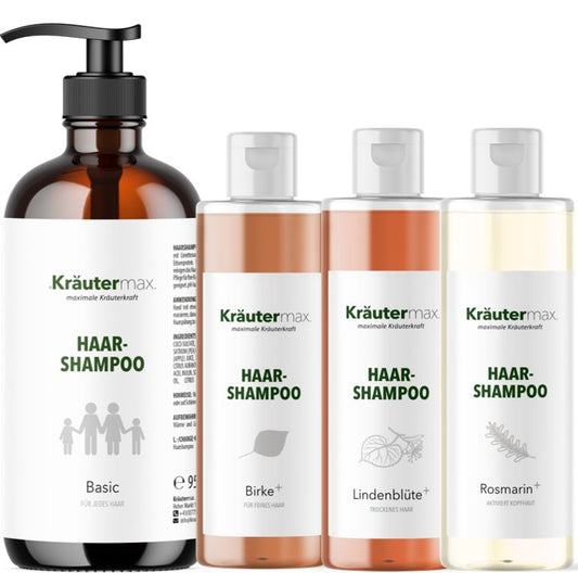 Frühjahr Shampoo Set 4 er Packung AKTION