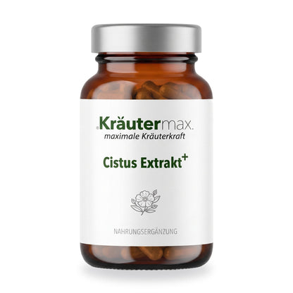 Cistus Extrakt Kapseln – Kräutermax