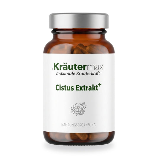 Cistus Extrakt Kapseln – Kräutermax