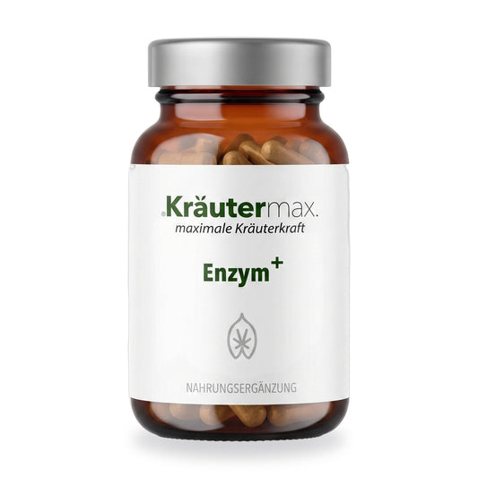 Enzym Kapseln – Kräutermax