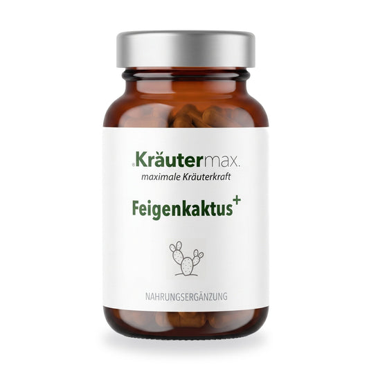 Feigenkaktus Kapseln – Kräutermax