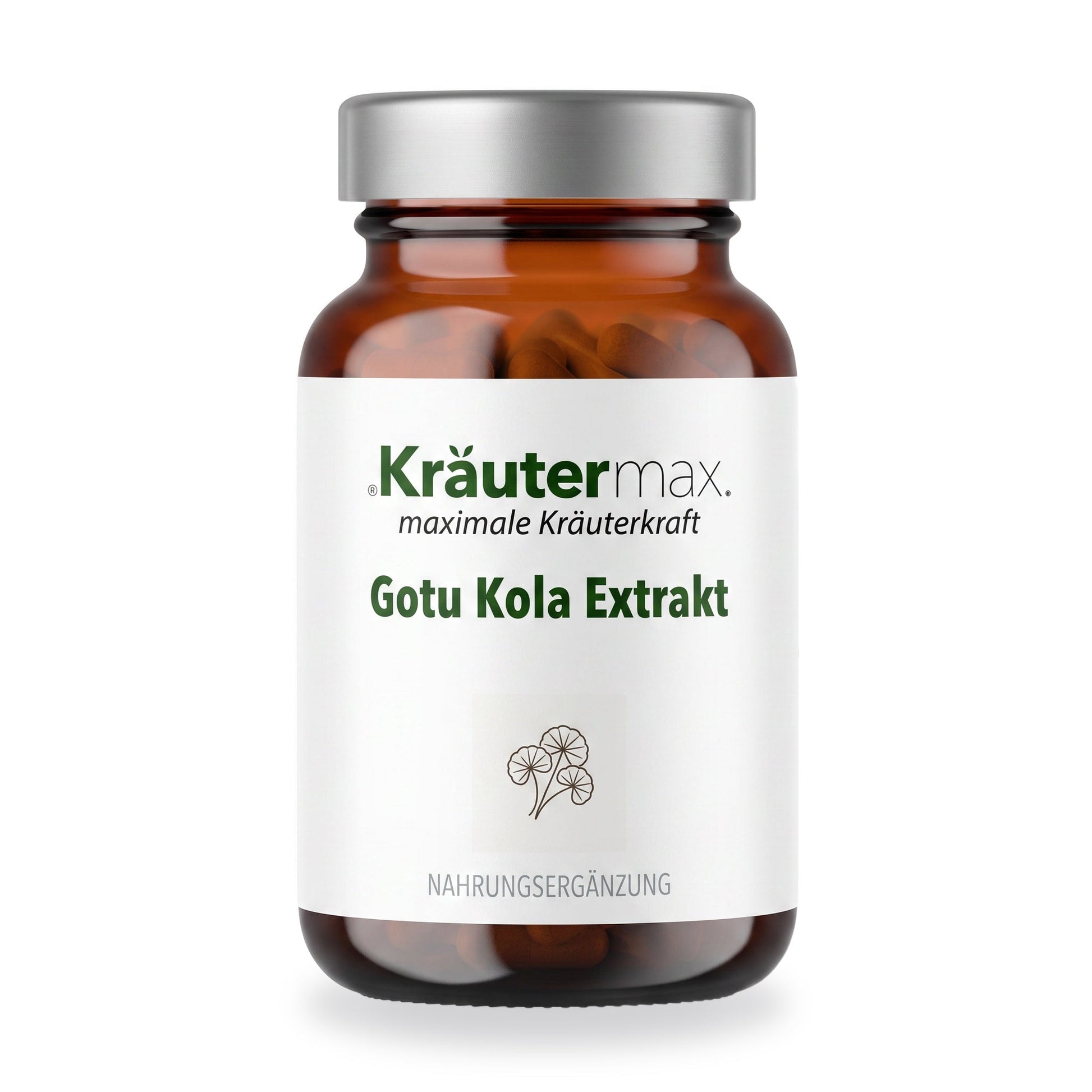 Gotu Kola Extrakt Kapseln – Kräutermax