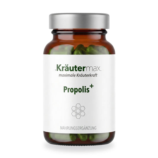 Propolis plus Kapseln – Kräutermax