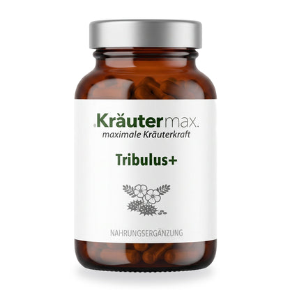 Tribulus plus Kapseln – Kräutermax