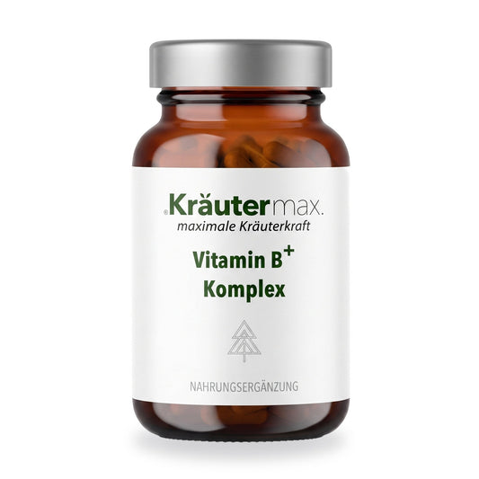 Vitamin B Komplex Kapseln – Kräutermax