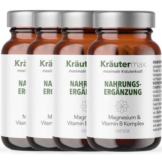 Magnesium mit Vitamin B Komplex Kapseln 4 x 60 Stück AKTION - Kraeutermax