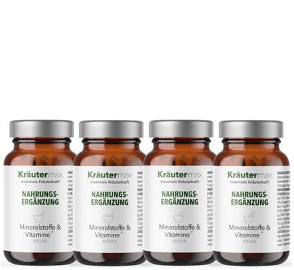 Mineralstoffe und Vitamine Kapseln 4 x 60 Stück
