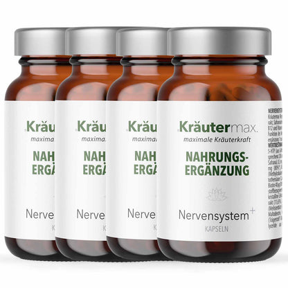 Nervensytem Kapseln 4 x 60 Stück AKTION