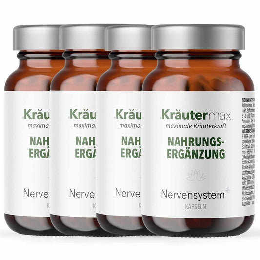 Nervensytem Kapseln 4 x 60 Stück AKTION