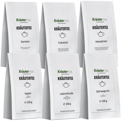 Tee Winter 6x100 g AKTION