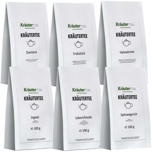 Tee Winter 6x100 g AKTION