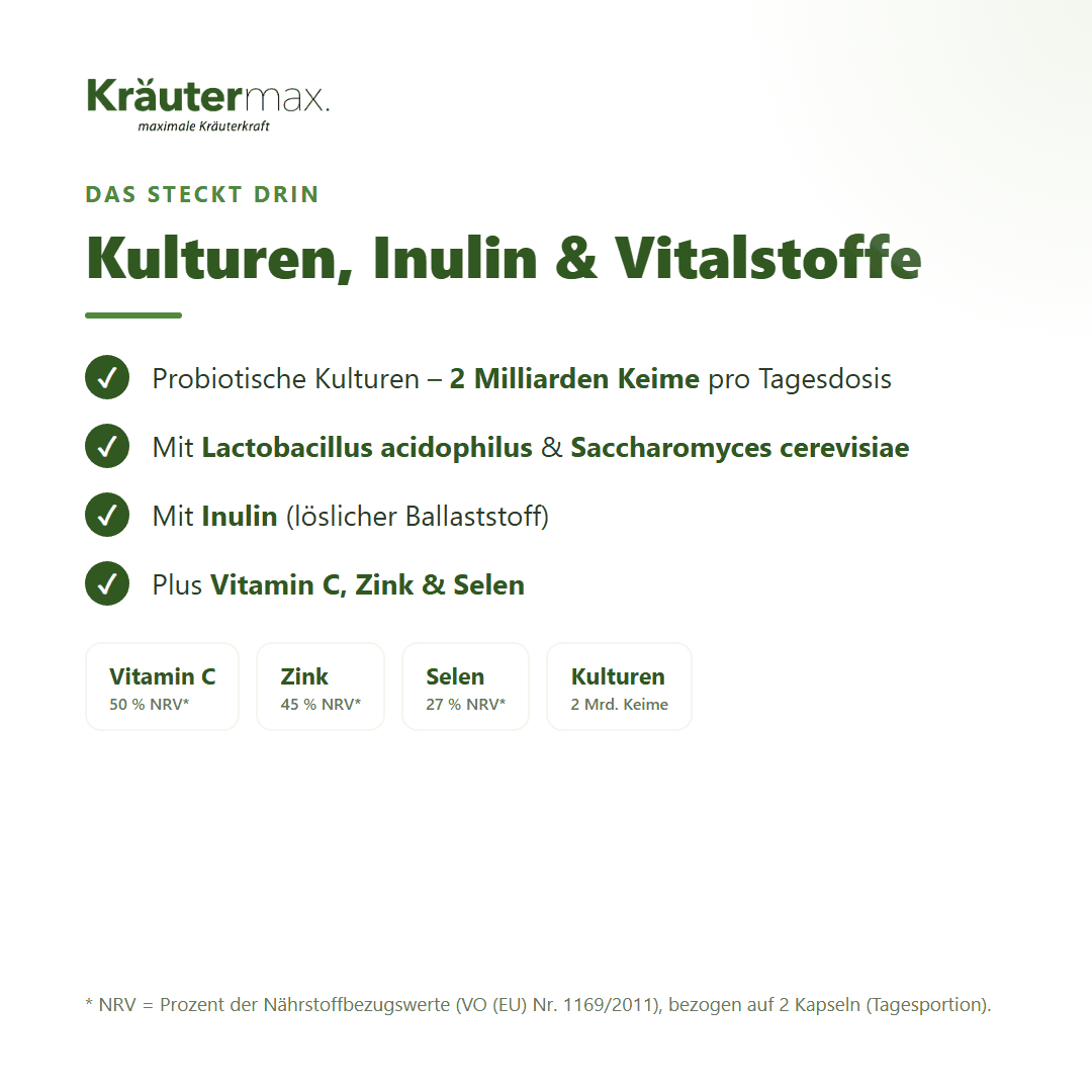 Acidophilus Probiotic+ Kapseln – probiotische Kulturen, Inulin, Vitamin C, Zink & Selen
