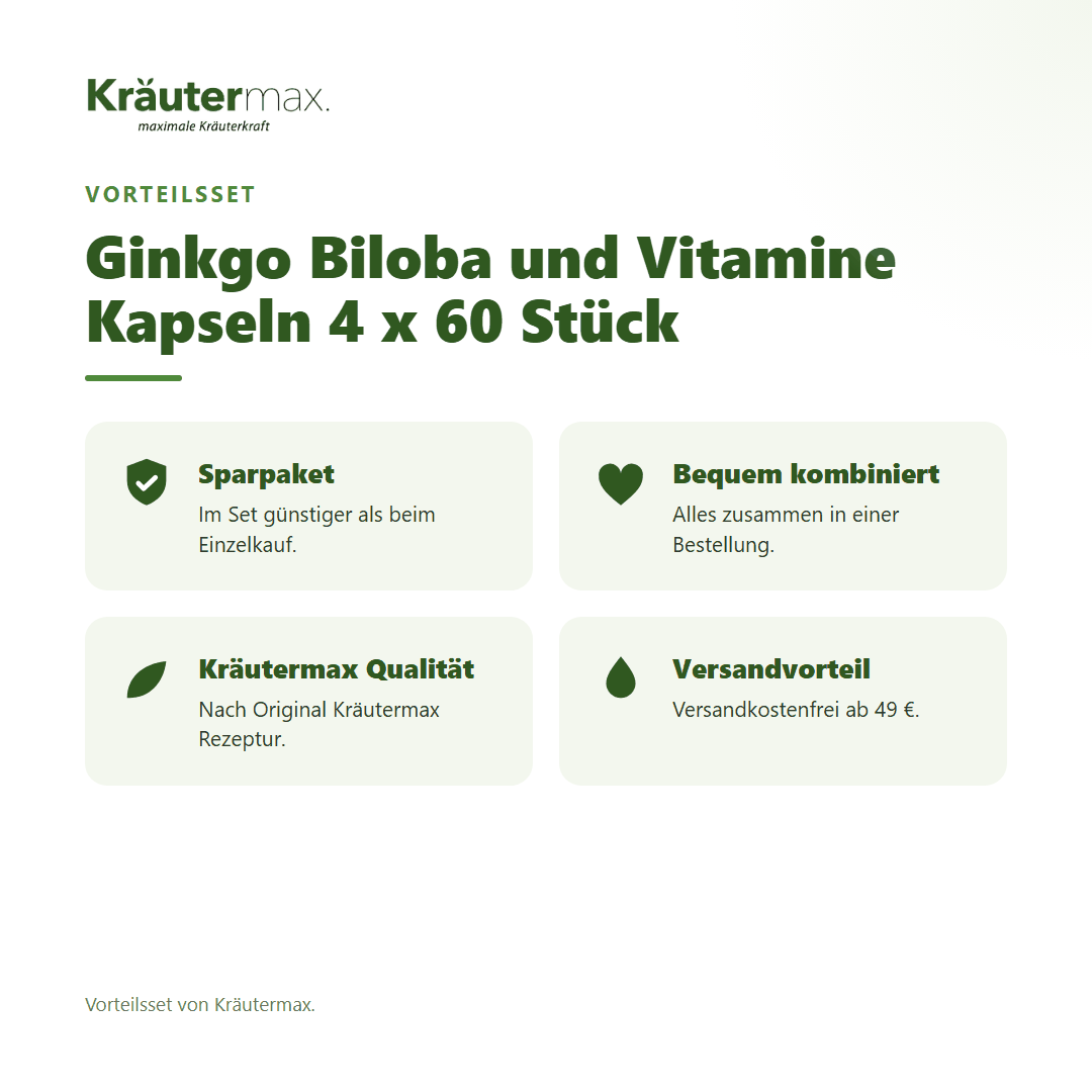 Ginkgo Biloba und Vitamine Kapseln 4 x 60 Stück von Kräutermax – Vorteilsset, im Set günstiger
