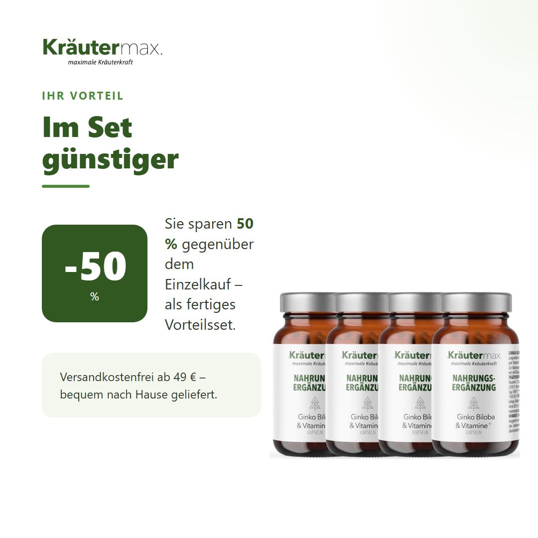 Ginkgo Biloba und Vitamine Kapseln 4 x 60 Stück – Ihr Vorteil: 50 % sparen gegenüber Einzelkauf
