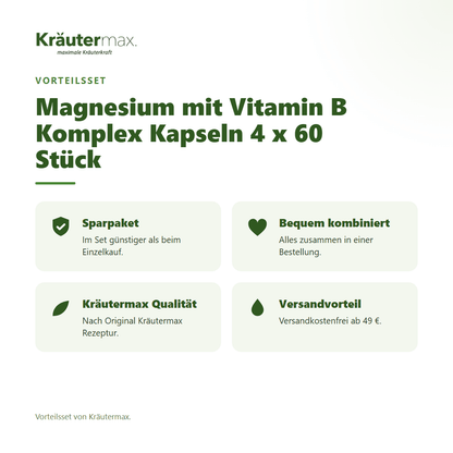 Magnesium mit Vitamin B Komplex Kapseln 4 x 60 Stück von Kräutermax – Vorteilsset, im Set günstiger