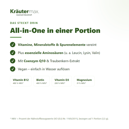 All in One Pulver – Vitamine, Mineralstoffe, Spurenelemente & Aminosäuren mit Coenzym Q10