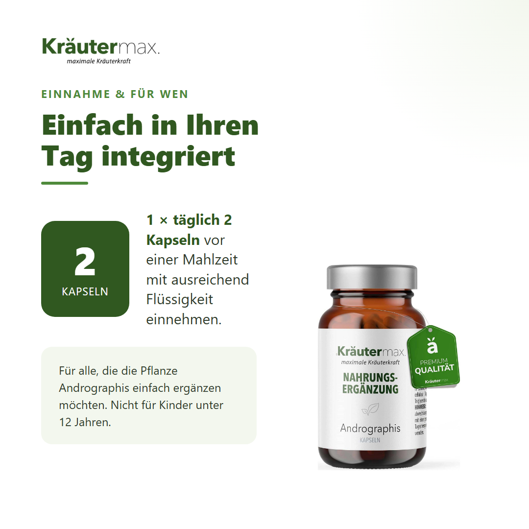 Andrographis Kapseln – Einnahme: 1 mal täglich 2 Kapseln vor einer Mahlzeit