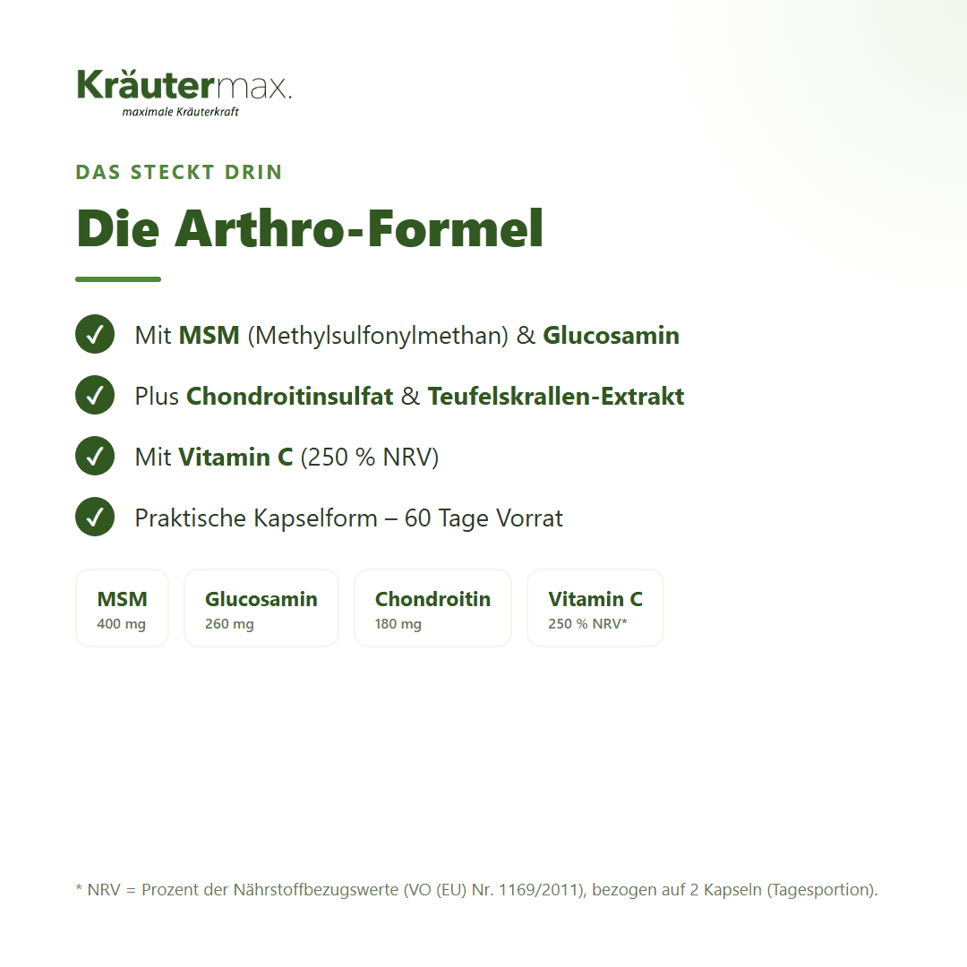 Arthro & Knorpel Komplex+ Kapseln – mit MSM, Glucosamin, Chondroitin, Vitamin C & Teufelskralle