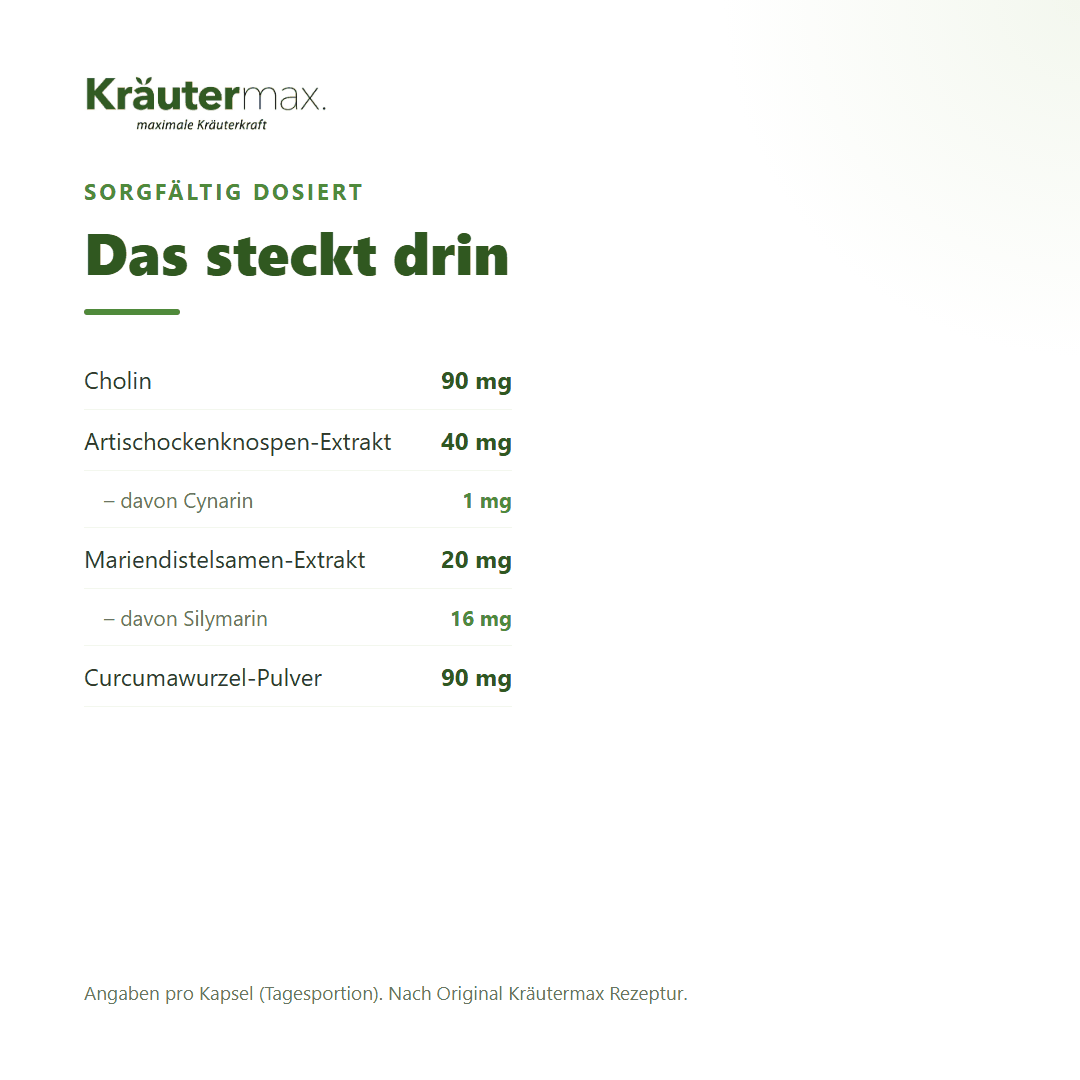 Artischocken Kapseln plus Mariendistel – Zusammensetzung mit Cholin 90 mg, Silymarin & Cynarin