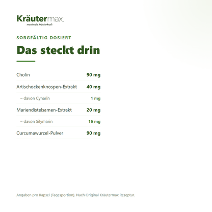 Artischocken Kapseln plus Mariendistel – Zusammensetzung mit Cholin 90 mg, Silymarin & Cynarin