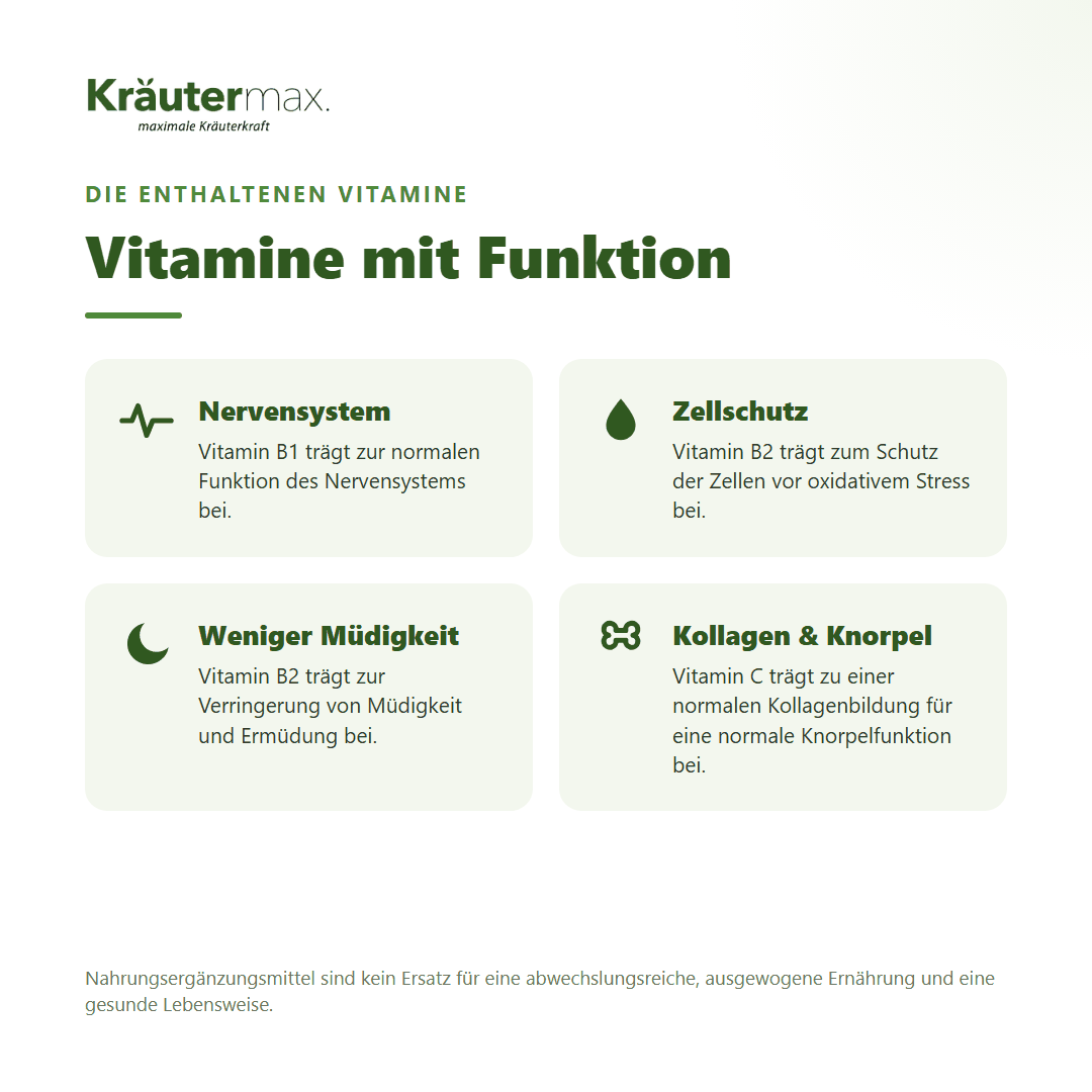 Bacopa Monnieri Extrakt Kapseln – mit B-Vitaminen und Vitamin C für Nervensystem, Zellschutz und weniger Müdigkeit | Kräutermax