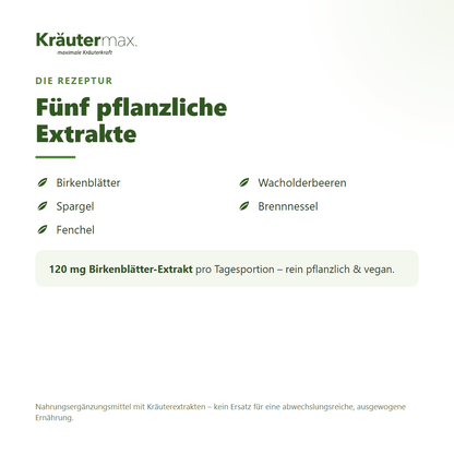Birkenblätter plus Kapseln – Rezeptur mit Birkenblättern, Wacholderbeeren, Spargel, Brennnessel und Fenchel, vegan | Kräutermax