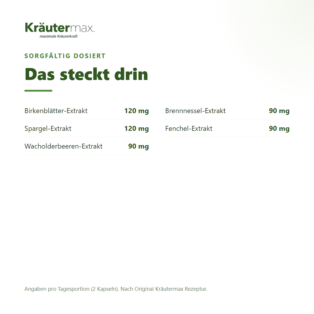 Birkenblätter plus Kapseln – Zusammensetzung: 120 mg Birkenblätter-Extrakt, Spargel, Wacholder, Brennnessel und Fenchel pro Tagesportion | Kräutermax