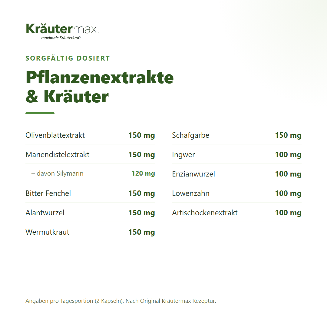 Bitterkräuter Kapseln – Zusammensetzung: Pflanzenextrakte mit mg-Angaben, 120 mg Silymarin pro Tagesportion