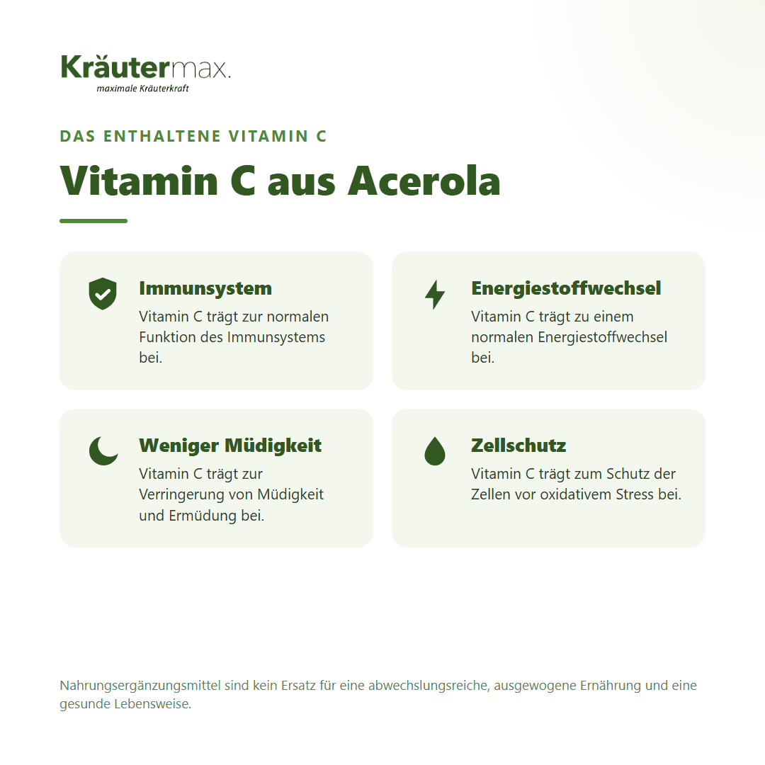 Brennnessel und Löwenzahn+ Kapseln – Vitamin C aus Acerola für Immunsystem, Energiestoffwechsel und weniger Müdigkeit | Kräutermax