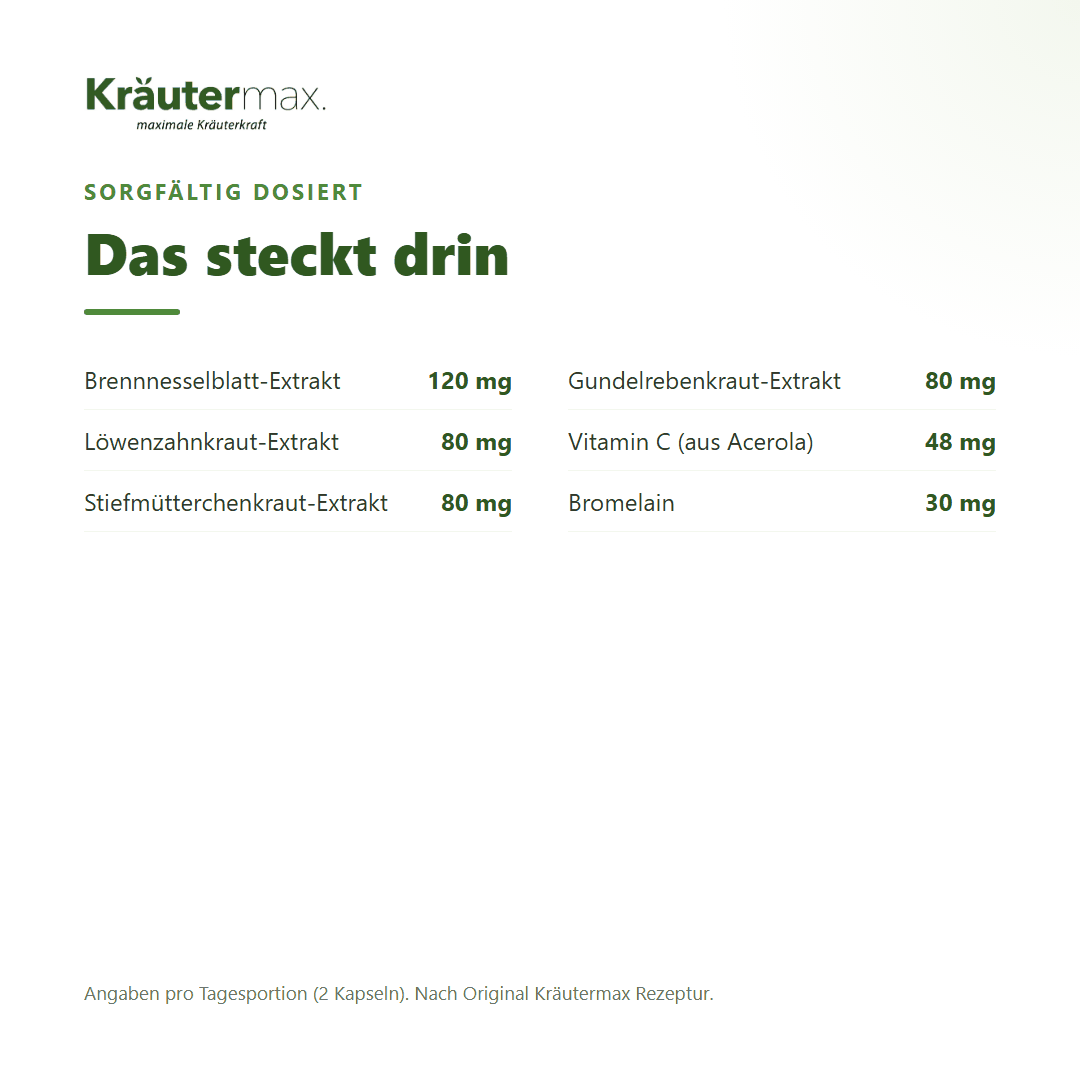 Brennnessel und Löwenzahn+ Kapseln – Inhaltsstoffe: Brennnessel, Löwenzahn, Stiefmütterchen, Gundelrebe, Bromelain und Vitamin C | Kräutermax