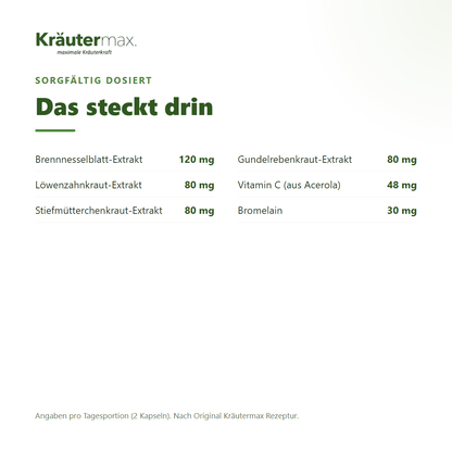 Brennnessel und Löwenzahn+ Kapseln – Inhaltsstoffe: Brennnessel, Löwenzahn, Stiefmütterchen, Gundelrebe, Bromelain und Vitamin C | Kräutermax