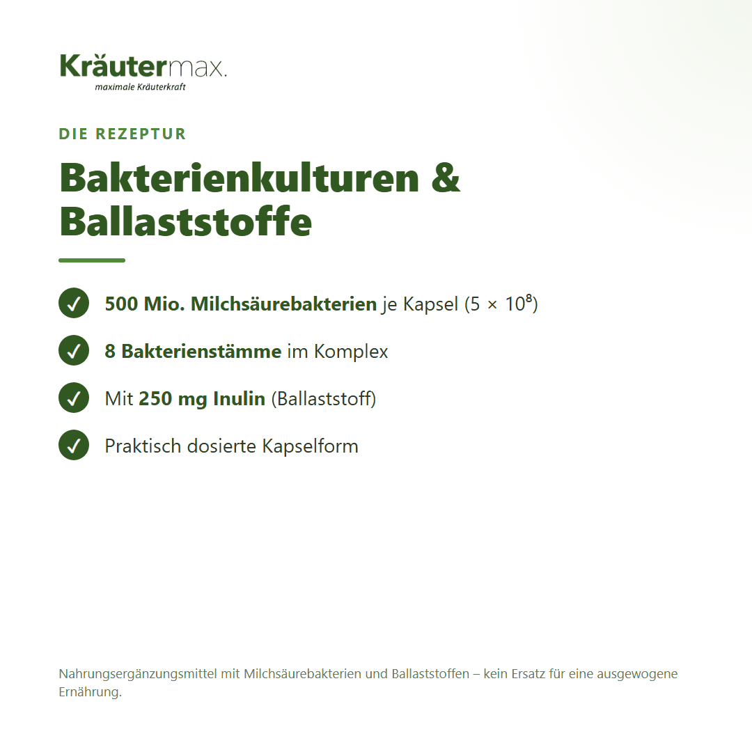 Darmbakterien Kapseln – 500 Millionen Milchsäurebakterien aus 8 Stämmen mit 250 mg Inulin | Kräutermax