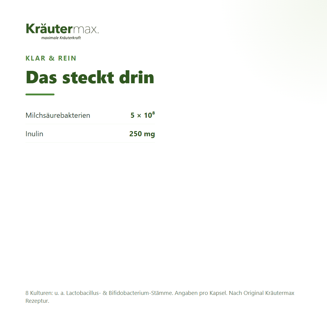 Darmbakterien Kapseln – Zusammensetzung: 5 x 10^8 Milchsäurebakterien und 250 mg Inulin pro Kapsel | Kräutermax
