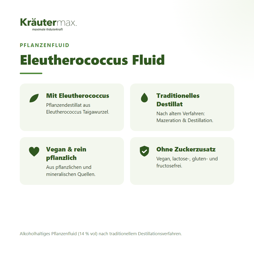 Eleutherococcus Fluid von Kräutermax – Überblick: traditionelles Pflanzendestillat, vegan