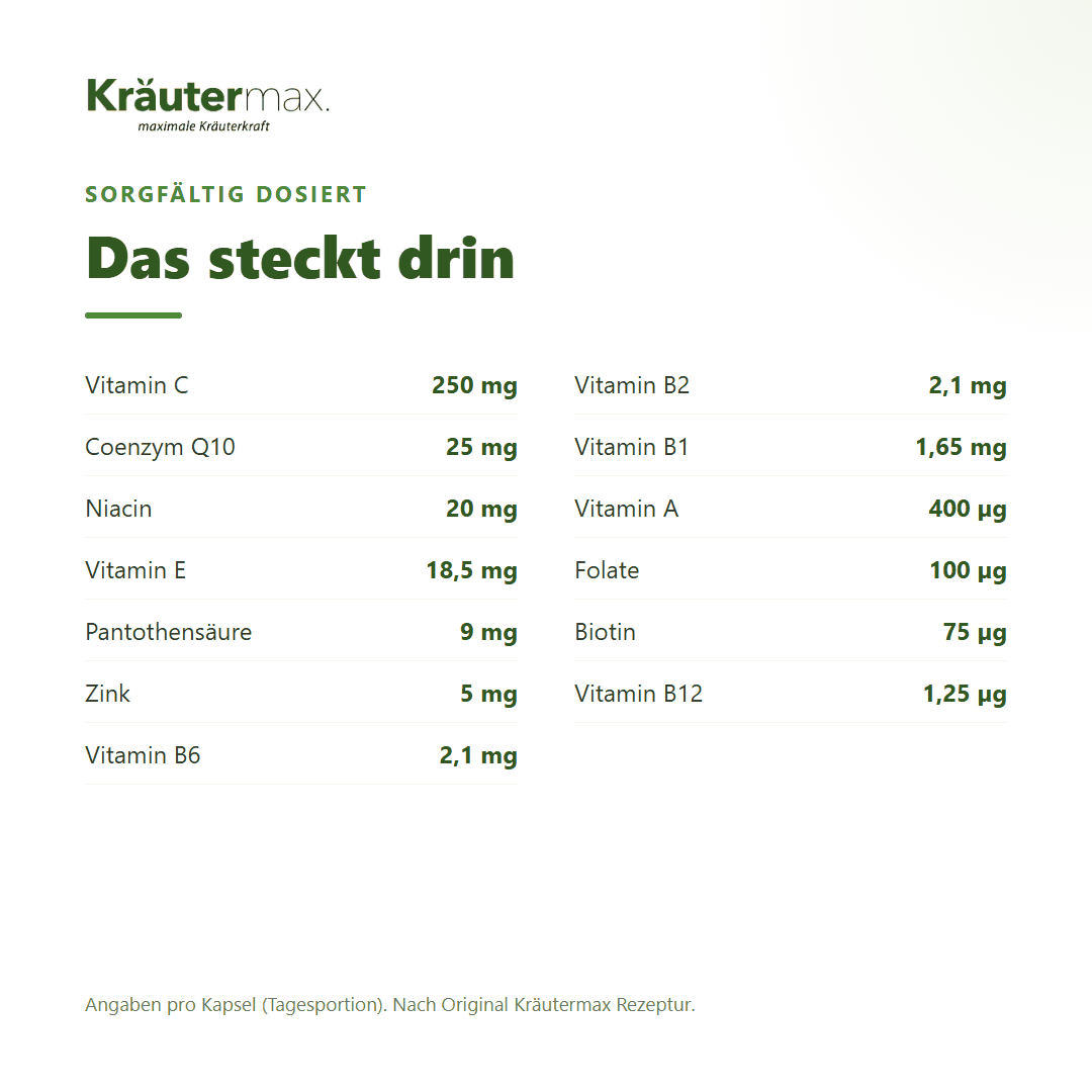 Energy & Vital Komplex+ Kapseln – 250 mg Vitamin C, Coenzym Q10, Zink und B-Vitamine pro Kapsel | Kräutermax
