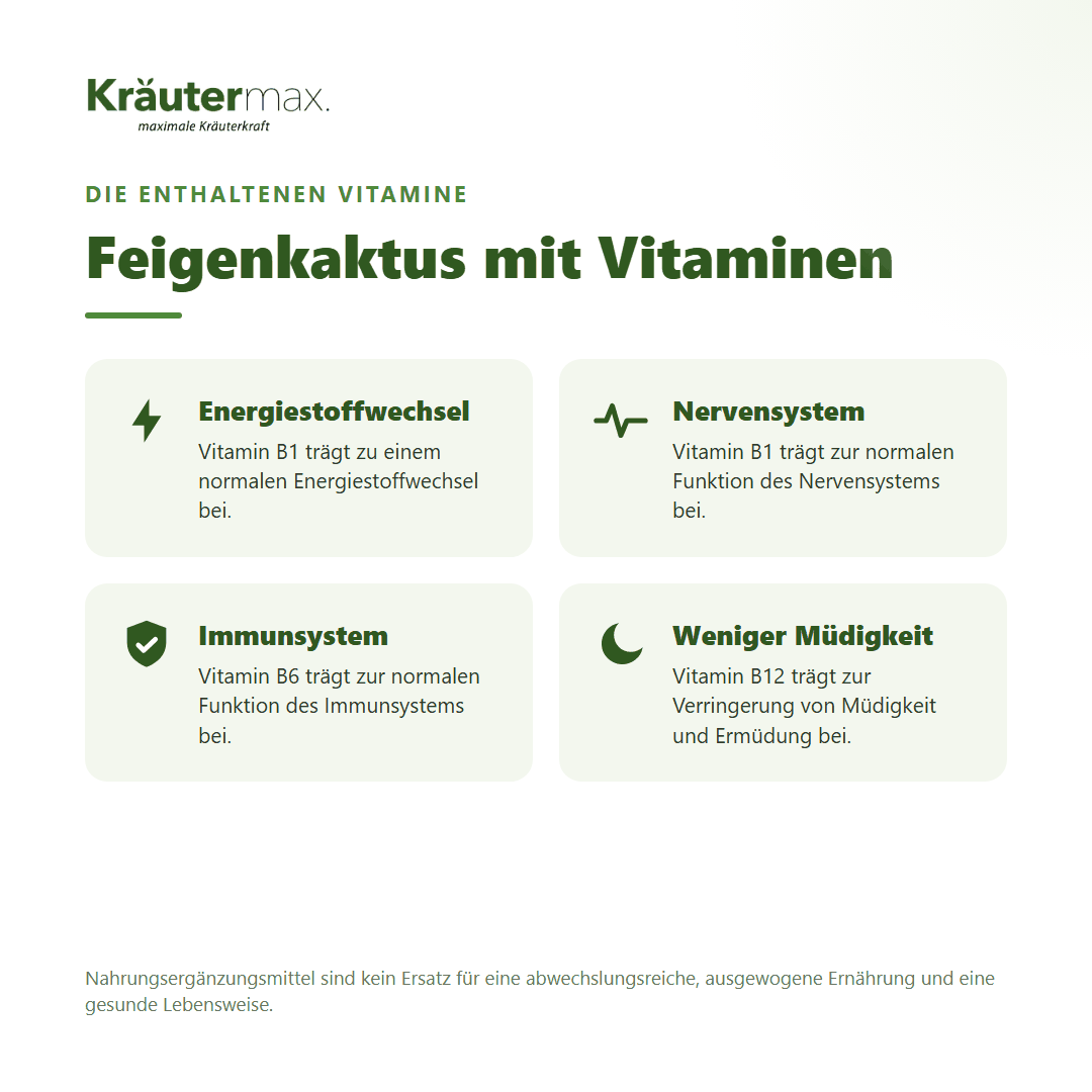 Feigenkaktus Kapseln – mit B-Vitaminen und Vitamin C für Energiestoffwechsel, Nervensystem, Immunsystem und weniger Müdigkeit | Kräutermax