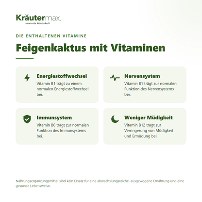 Feigenkaktus Kapseln – mit B-Vitaminen und Vitamin C für Energiestoffwechsel, Nervensystem, Immunsystem und weniger Müdigkeit | Kräutermax