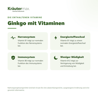 Ginkgo Biloba Kapseln – mit B-Vitaminen für Nervensystem, Energiestoffwechsel, Immunsystem und weniger Müdigkeit | Kräutermax