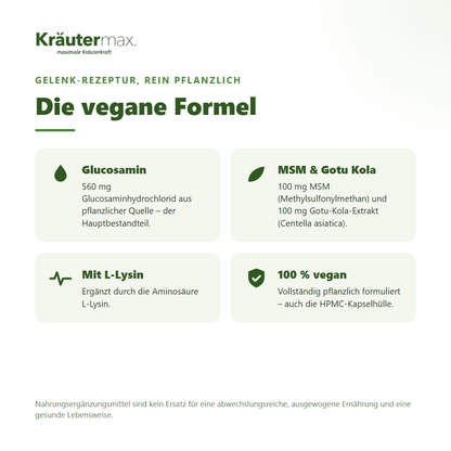 Glucosamin+ vegan Kapseln – mit Glucosaminhydrochlorid, MSM, Gotu Kola und L-Lysin, rein pflanzlich | Kräutermax