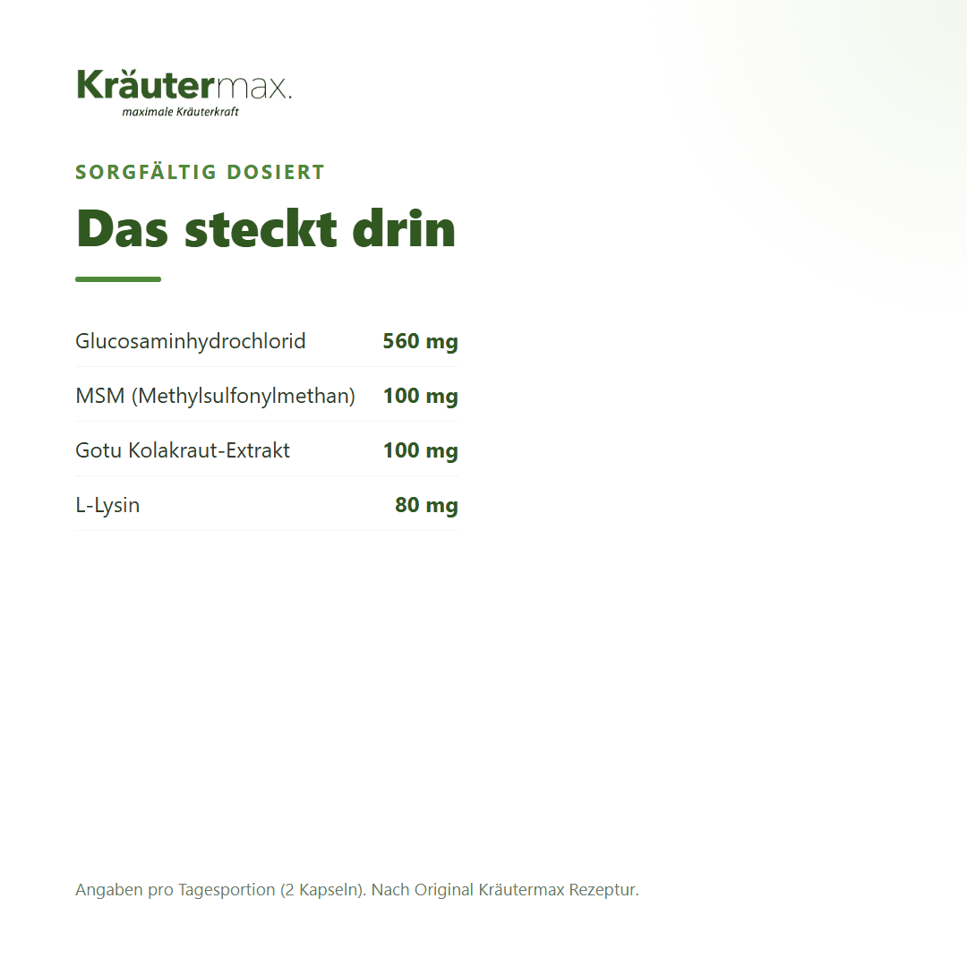 Glucosamin+ vegan Kapseln – 560 mg Glucosaminhydrochlorid, 100 mg MSM, 100 mg Gotu Kola und L-Lysin pro Tagesportion | Kräutermax