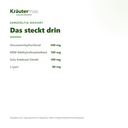 Glucosamin+ vegan Kapseln – 560 mg Glucosaminhydrochlorid, 100 mg MSM, 100 mg Gotu Kola und L-Lysin pro Tagesportion | Kräutermax
