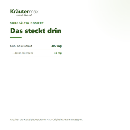 Gotu Kola Kapseln – 400 mg Gotu Kola Extrakt, davon 40 mg Triterpene pro Kapsel | Kräutermax