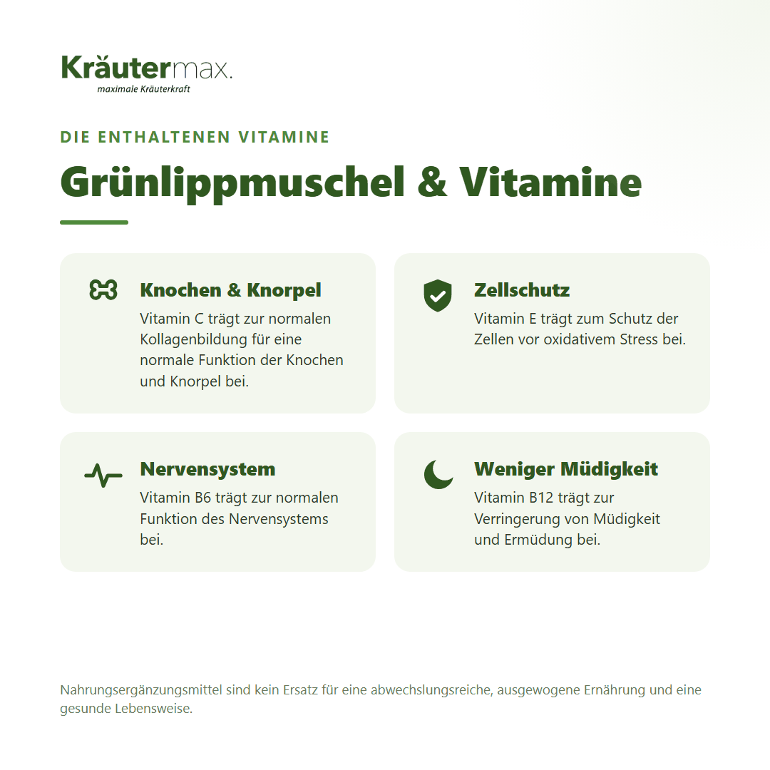 Grünlippmuschel Kapseln – mit Vitamin C, E, B6 und B12 für Knochen, Knorpel, Zellschutz und Nervensystem | Kräutermax