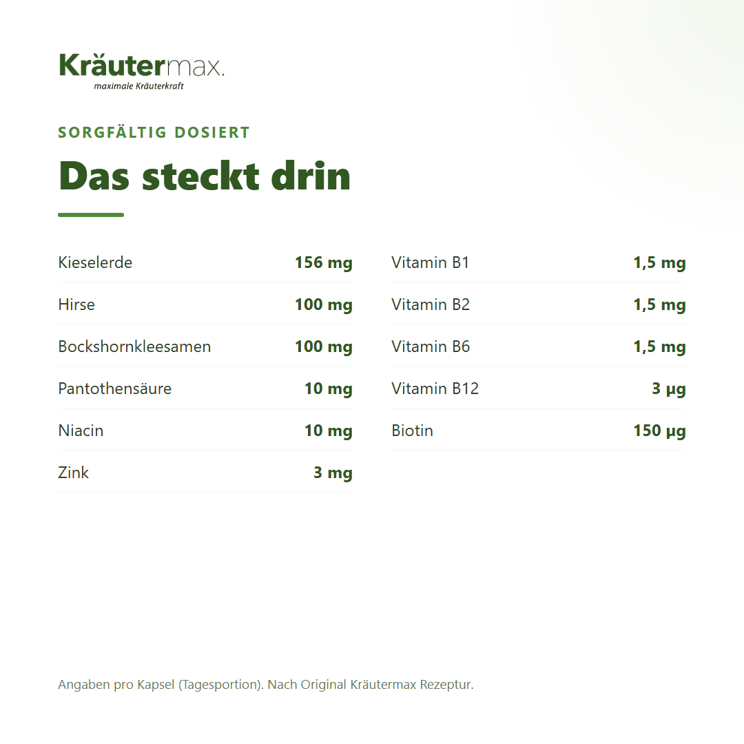 Haare plus Kapseln – Kieselerde, Hirse, Bockshornkleesamen mit Biotin, Zink und B-Vitaminen pro Kapsel | Kräutermax