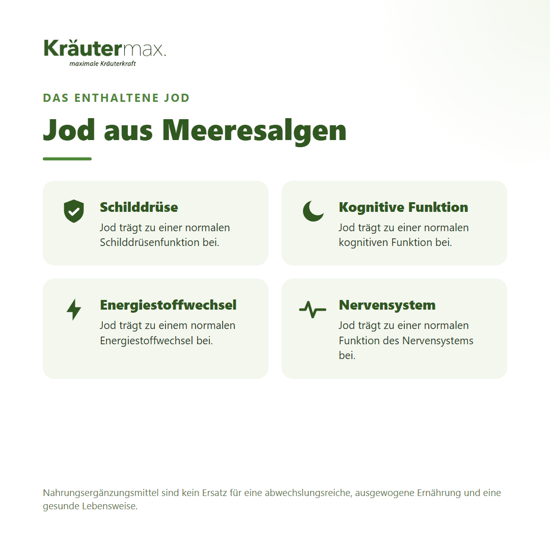 Kelp Braunalgen Tabletten – mit Jod aus Meeresalgen für Schilddrüse, kognitive Funktion, Energie und Nervensystem | Kräutermax