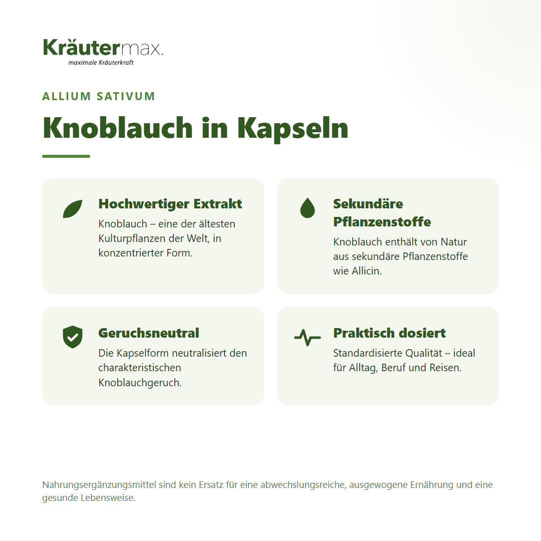 Knoblauch Kapseln – hochwertiger Knoblauchextrakt (Allium sativum), geruchsneutral | Kräutermax