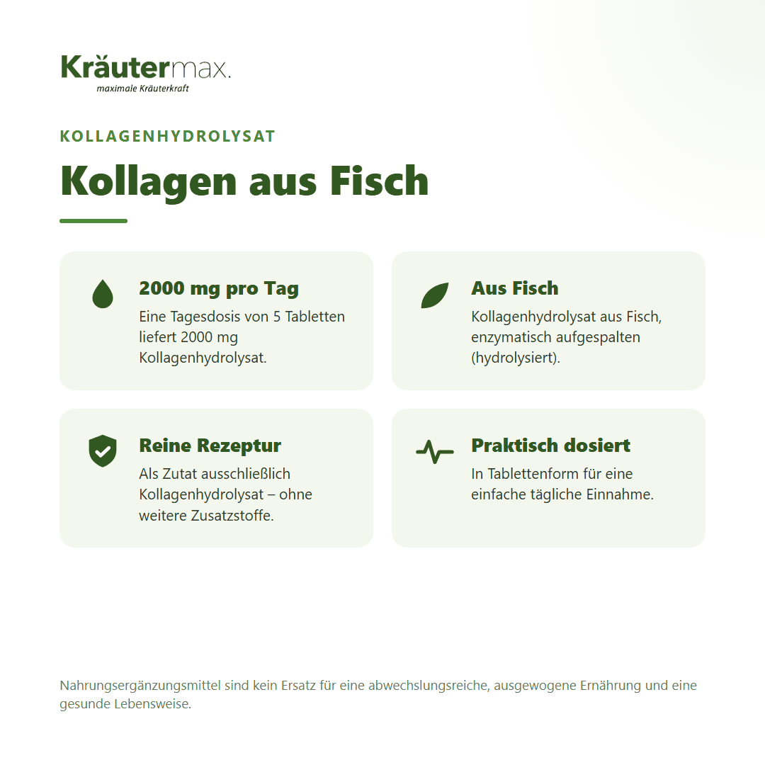 Kollagen 2000 mg Tabletten – Kollagenhydrolysat aus Fisch, enzymatisch hydrolysiert | Kräutermax