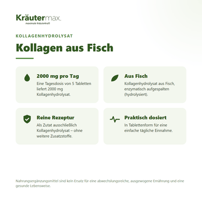 Kollagen 2000 mg Tabletten – Kollagenhydrolysat aus Fisch, enzymatisch hydrolysiert | Kräutermax